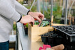 © Kirsty Begg/Stocksy - Woman selecting seed packets from a box in a greenhouse