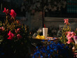 © Stas Pylypets/Stocksy - Fast food on cafe table