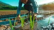 © Liel - A woman kneels to examine a plant submerged in a water-filled depression amidst a field