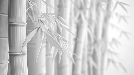 Wall Mural - 3d bamboo White background 
