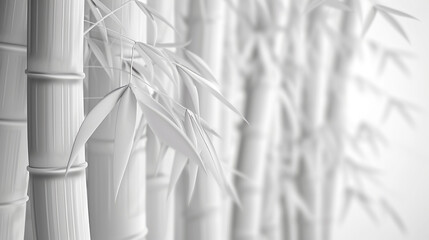 Poster - 3d bamboo White background 