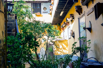 A stylish vintage interior of a house courtyard with yellow walls and small tropical garden in the middle.