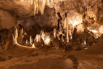 Wall Mural - Rock formations in Carlsbad Caverns National Park, New Mexico

