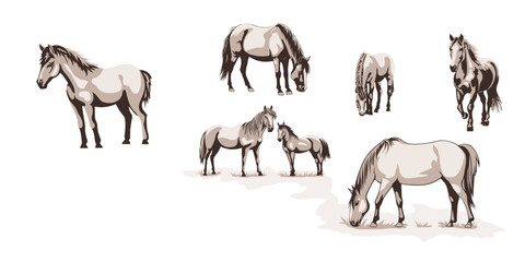 Wall Mural - A sketch of horses grazing in a meadow, vector illustration