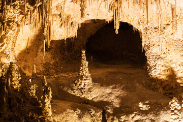 Wall Mural - Rock formations in Carlsbad Caverns National Park, New Mexico
