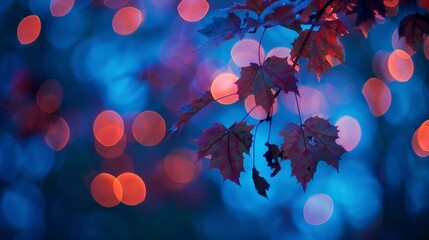Wall Mural - as the evening sky fades to an indigo blue the brilliant leaves of a sugar maple tree seem to glow w