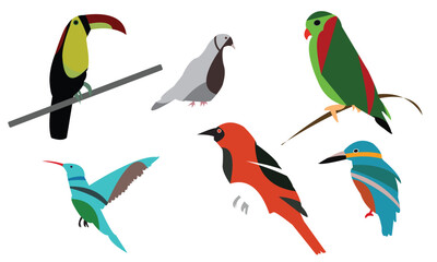 Wall Mural - Flying Birds Vector And Illustration. 