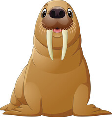 Wall Mural - Cartoon happy walrus isolated on white background