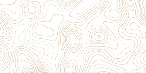 Sticker - abstract white wave paper curved reliefs background. Topography map pattern, Geographic curved, vector illustration. Vector illustration. Line topography map contour background. 