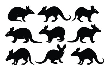 Wall Mural - Set of Bandicoot animal black silhouette vector on white background