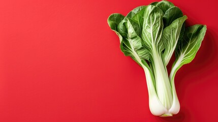 Wall Mural - Fresh bok choy displayed on a bright red backdrop with space for text perfect for promoting healthy eating and food ideas