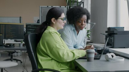 Wall Mural - medium shot of two young elegant multiracial female program developers discussing laptop software an