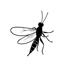 dragonfly vector design logo illustration for insect 