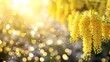 © Mikus - A close-up of yellow flowers with sunlight filtering through a blurred background, foreground flowers featuring a blurred backdrop