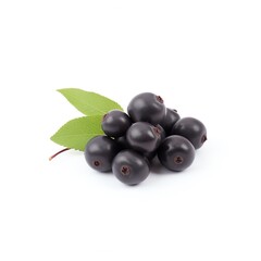 Wall Mural - A cluster of fresh black chokeberries with green leaves on a white background. Perfect for healthy eating and organic food concepts.