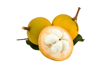 Wall Mural - santol isolated on transparent with png.