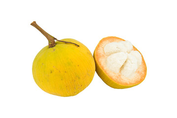 Wall Mural - santol isolated on transparent with png.