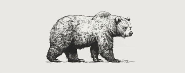 Sticker - bear. Engraving style. Simple pencil drawing vector