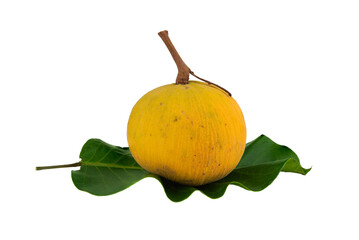 Wall Mural - santol isolated on transparent with png.