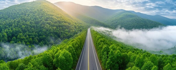 Wall Mural - Scenic aerial view of a winding road through lush green mountains with a misty morning sky, perfect for travel and nature photography.