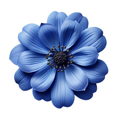 Canvas Print - Blue flower isolated on transparent background, png, cut out.