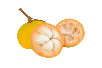 Wall Mural - santol isolated on transparent with png.