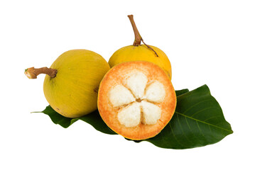 Wall Mural - santol isolated on transparent with png.