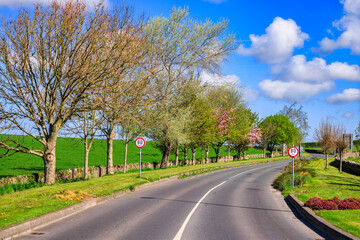 Wall Mural - Road scenery in Cashel, County Tipperary, Ireland.