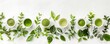 © DJSPIDA FOTO - Capture the essence of wellness with this flat lay arrangement of Mitanor leaves and powder in cups, complemented by fresh herbs on a white surface