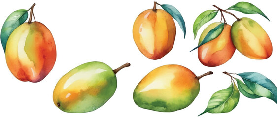 Poster - Mango pattern background in watercolor4