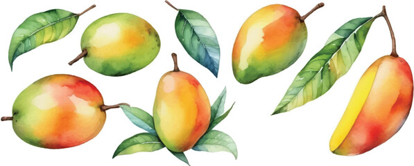 Wall Mural - Mango pattern background in watercolor3