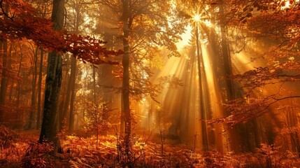Wall Mural - majestic forest bathed in golden sunset light autumn landscape photography