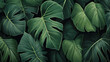 © bilge - Plants and Leaves Graphic Design Background