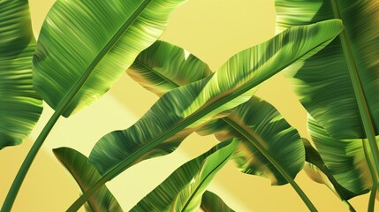 Wall Mural - banana leaves in vibrant sunlight on a bright yellow background