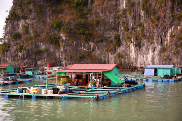 Wall Mural - Floating fishing village in sea bay in Vietnam, boats and islands