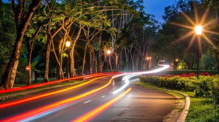 Wall Mural - a street at night with light trails of cars