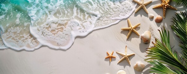 Wall Mural - Tropical beach aerial with starfish and shells