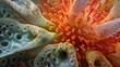 © Analogue - A high-resolution photograph of pollen grains on a flowerâ€™s stigma, with each grain showing intricate textures and structures. This image exemplifies boundless small forms, showcasing the complexity