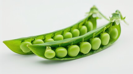 Wall Mural - Fresh Pea Pods on white background from a low angle view