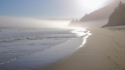 Canvas Print - beach in the morning, Foggy beach with water washing onshore, bright