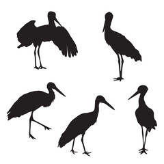 Sticker - Stork Silhouette Vector Art Bundle