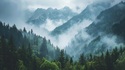 Mountains with wooded sides and summits disappearing in mist Thick mist in the mountains during an overcast day