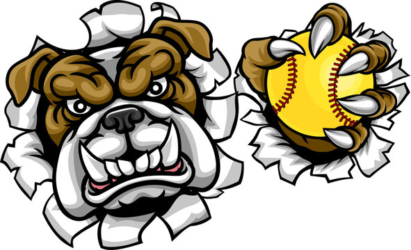 A bulldog animal softball sports team cartoon mascot