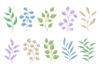 Set of colorful leaves design