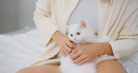 Wall Mural - A woman is holding a white cat in her arms and petting while sitting on couch in living room, owner stroking domestic cat animals at home, Relationship between pets and people.