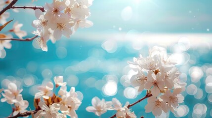 Cherry blossom with white flowers against a blurred spring background accompanied by a blue sea and sky
