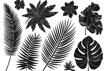 Wall Mural - A collection of black and white leafy plants. The plants are all different shapes and sizes, but they all have a similar leafy appearance. Concept of nature and the beauty of the outdoors