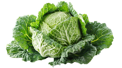 A fresh savoy cabbage with its distinctive crinkled and textured leaves, vibrant green in color, isolated on a white background.