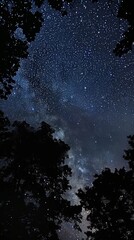 Wall Mural - starry sky.