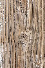 Wall Mural - harmonic textured old rotten wooden wall with peeling white paint